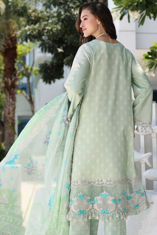CN4-16 Naranji Embroidered Lawn Collection Vol 2