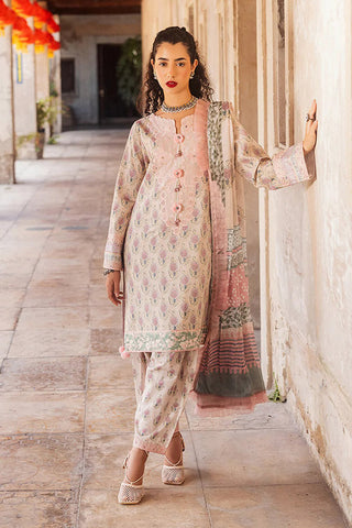 Roheenaz - RNB-10A Vesta Taneez Block Printed Lawn Collection