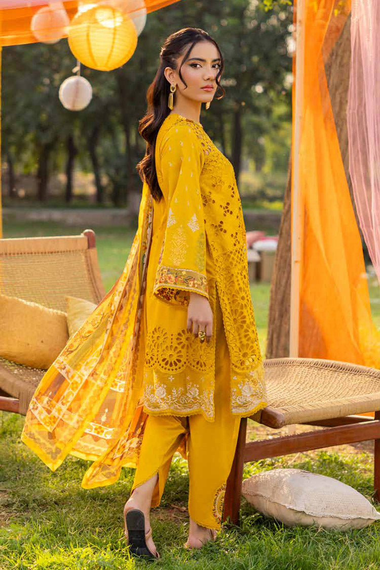 Picture of Muscari - MCC 416 Embroidered Chikankari Lawn Collection - Available at Raja Sahib