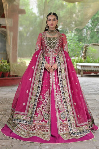 Qalamkar - Singhar Wedding Formals - RF-04 RIMEL - Unstitched