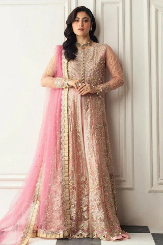 Mushq - Hemline Aura Debut Wedding Collection - 08 Amaranth - Unstitched