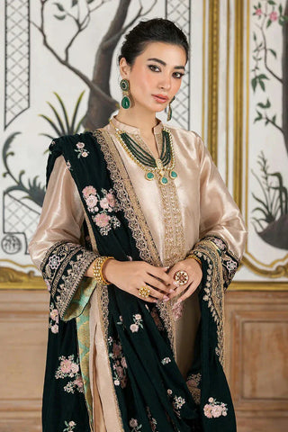 Picture of Zainab Chottani - Velvet Collection - SARWANA-D1 - Unstitched - Available at Raja Sahib