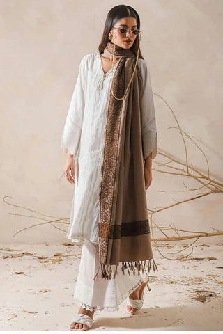 Picture of Asim Jofa - Shawl Collection - AJHS-20 JACQUARD BORDER SHAWL 1 PC - Available at Raja Sahib