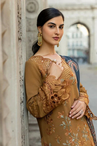 Picture of Rang Rasiya - Carnation Winter Shawl Collection - 03 Autumn - Unstitched - Available at Raja Sahib