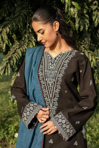 Picture of Seran - Whisper Garden Winter Wear Collection - 03 Rave - Unstitched - Available at Raja Sahib