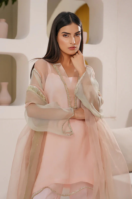 Anayra Amal - Irtiqa - Suffuse
