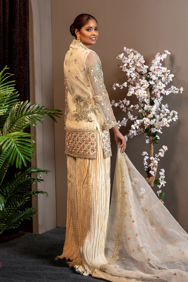 Picture of <!--agm-->Ahmad Raza - Afsana Pret Collection - AR2064 - Available at Raja Sahib