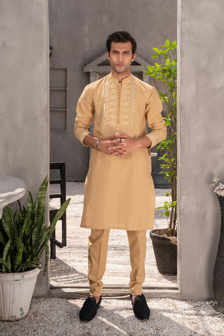 Picture of <!--afu-->Ahmad Raza - Nawab Collection - AR5082 - Available at Raja Sahib