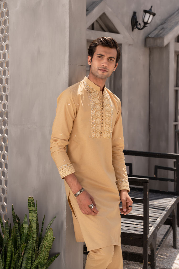 Picture of <!--afu-->Ahmad Raza - Nawab Collection - AR5082 - Available at Raja Sahib