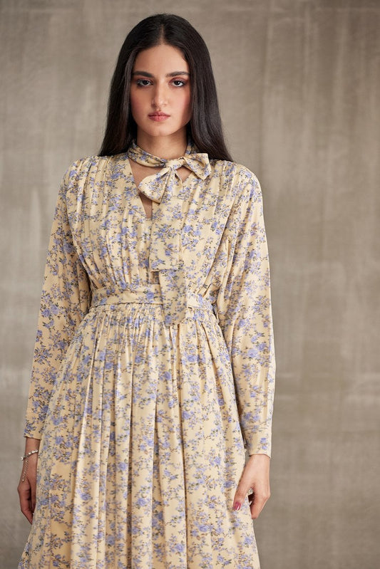 Ellena - Western Georgette Dress