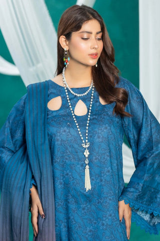 Humdum - Aangan Unstitched Lawn Collection - D06