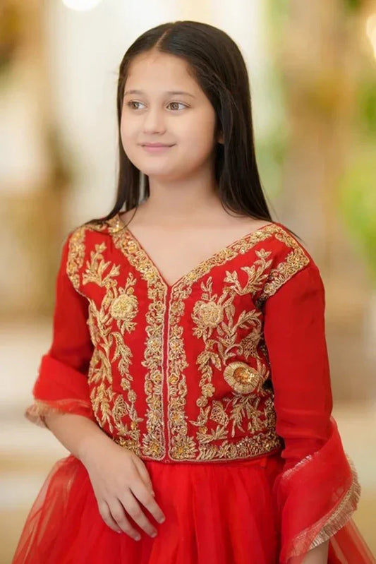 Fairy Queen - 3 Piece - Anarkali