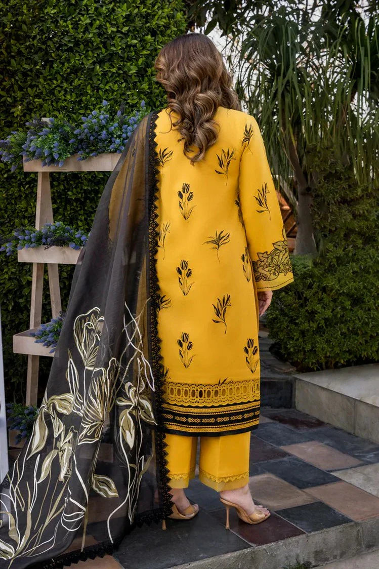Picture of Rang Rasiya - Florence Summer Edit - 12 Mirha - Unstitched - Available at Raja Sahib