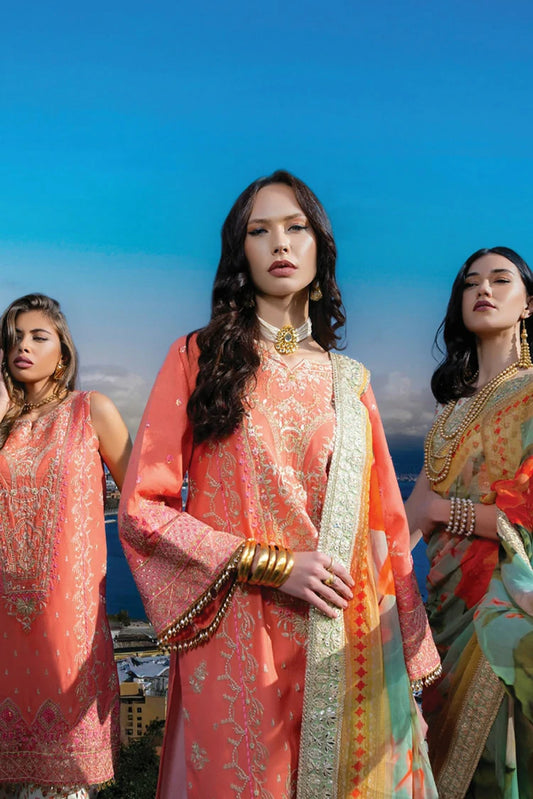 Rayya - Spring Summer Lawn Collection - RG004 - Unstitched