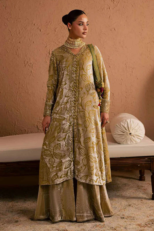 Nureh - Ballerina Embellished Velvet Palachi Collection - NU2-189 - Unstitched