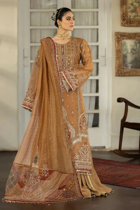 Raeesa - Dehleez Luxury Chiffon Collection Vol 3 - DL-1025-Tarz-e-Zameen - Unstitched