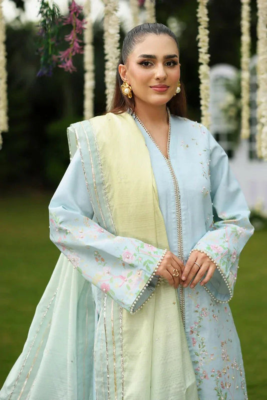 Rang Rasiya - Luxe Silk Edit - D06-Feryal - Unstitched