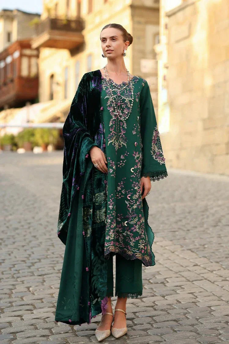Rang Rasiya - Carnation Winter Luxury Shawl Edit - 04 Matcha - Unstitched