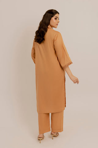 Picture of The Slay Wear - Basic Stitched - Beige Embroidered Dress - Available at Raja Sahib