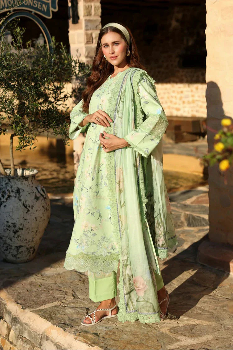 Ayleen - Naksh Collection - 03-Ronaq - Unstitched