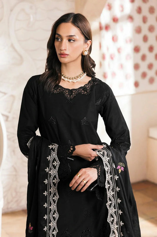 Rajbari - Nissa Chikankari Exclusive - Design 11 - Unstitched