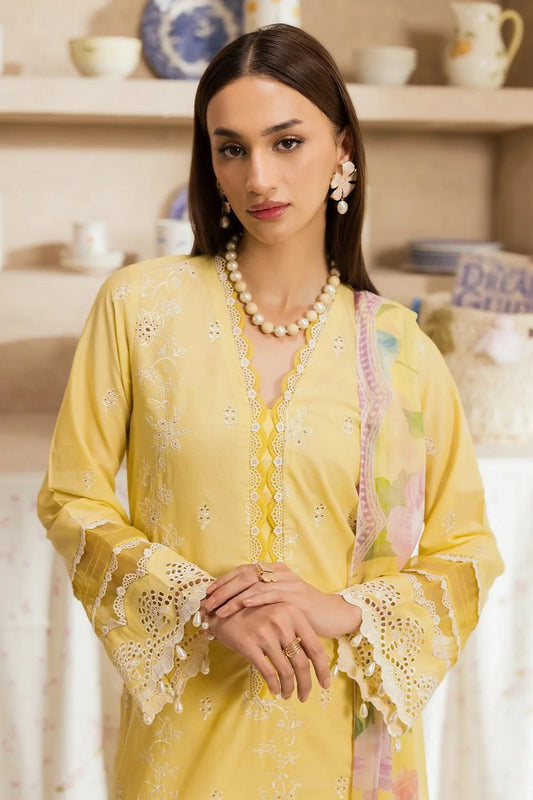 Rajbari - Nissa Chikankari Exclusive - Design 03 - Unstitched