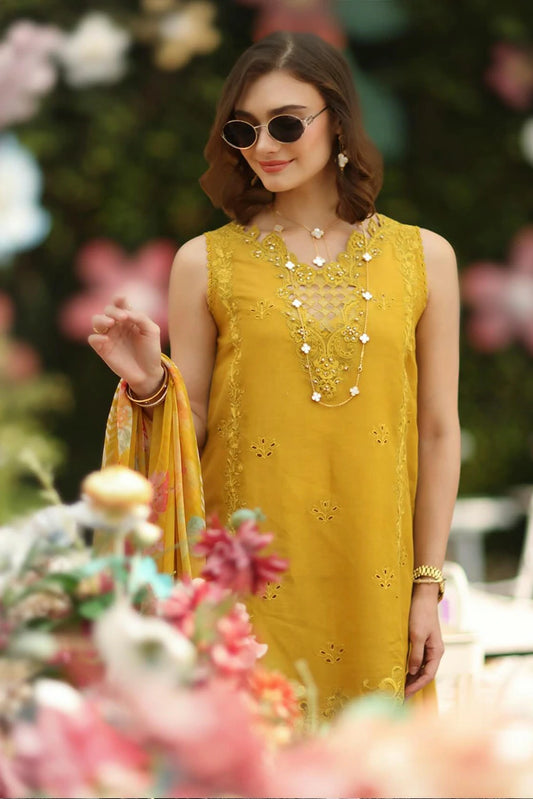 Noor by Saadia Asad - Noor Luxe Chikankari - Design 10 - Unstitched