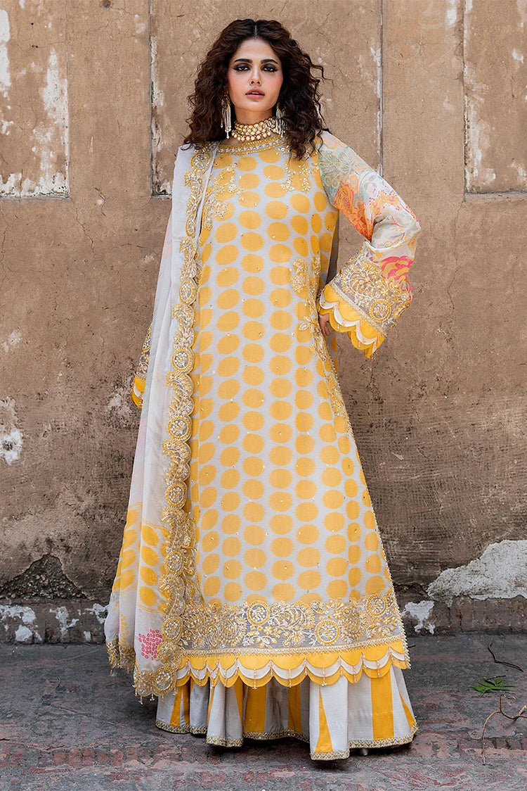 Vasal Luxury Chiffon Collection Vol 1