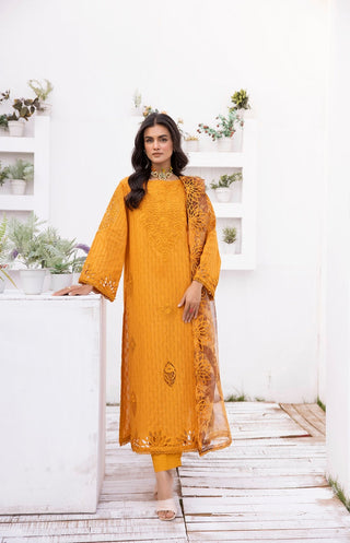 Ellena - 3-PC Stitched Embroidred Suit