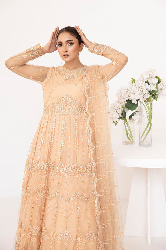 Embroidered Net Maxi Dress