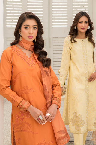 Picture of 3-PC Stitched Embroidered Suit - Available at Raja Sahib