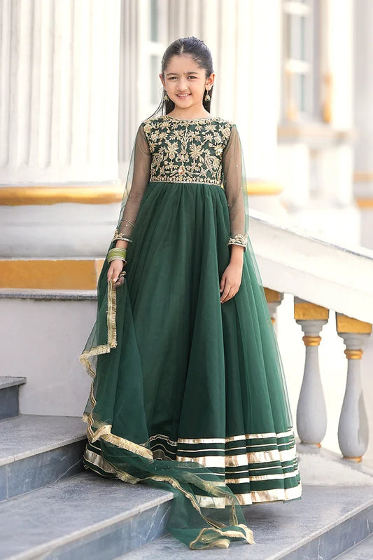 Fairy Queen - Bano Wedding Collection - 2 Piece - Emaan