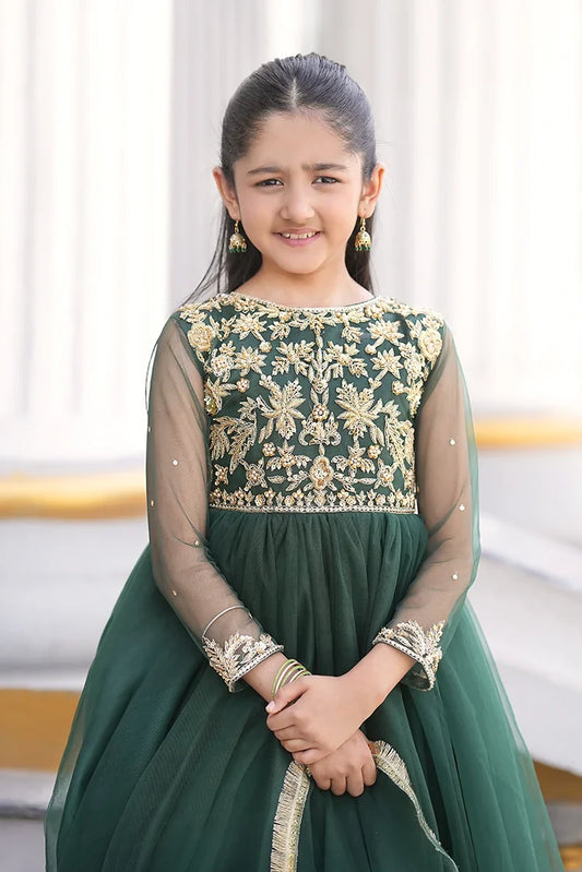 Fairy Queen - Bano Wedding Collection - 2 Piece - Emaan