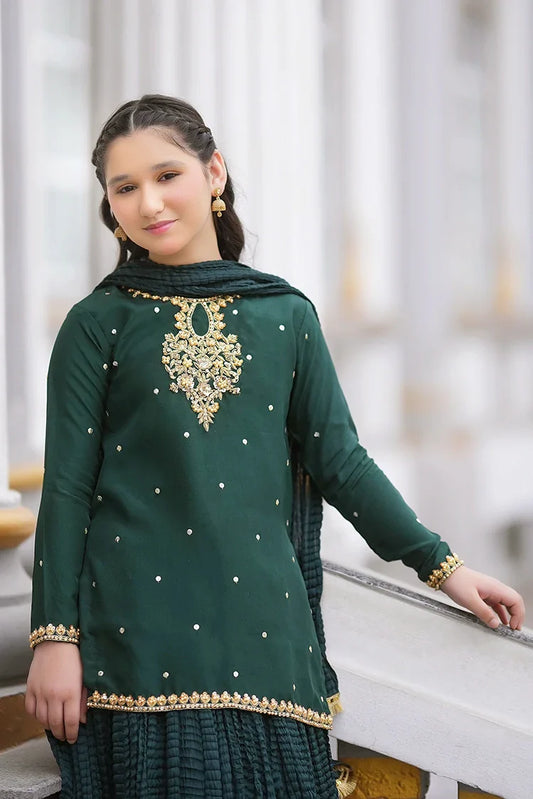 Fairy Queen - Bano Wedding Collection - 3 Piece - Fasana