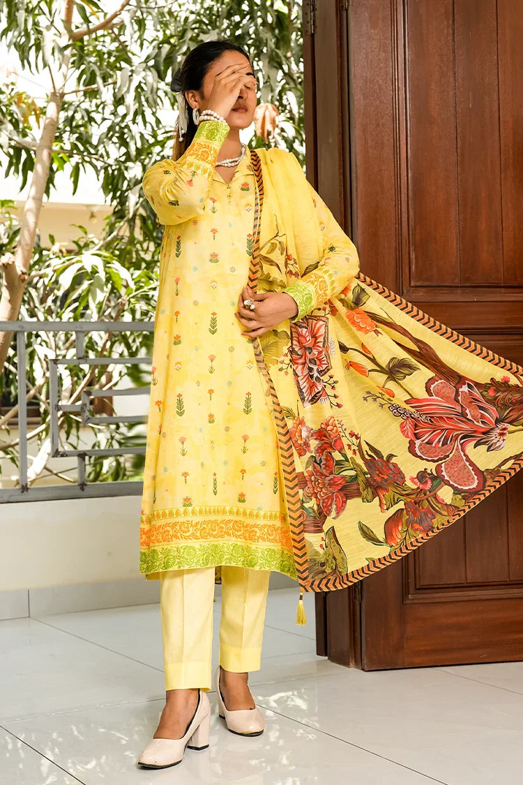 Picture of Tasneem Shamim - Fusion Waves - 2 Piece - Sereneh - Available at Raja Sahib