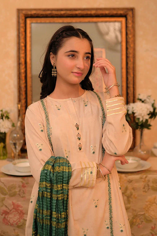 Picture of <!--aon-->GBD-02942 | Fawn & Multicolor | Casual Plus 3 Piece Suit | Cotton Jacquard - Available at Raja Sahib