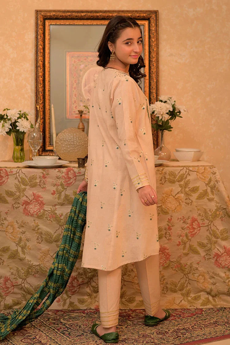 Picture of <!--aon-->GBD-02942 | Fawn & Multicolor | Casual Plus 3 Piece Suit | Cotton Jacquard - Available at Raja Sahib