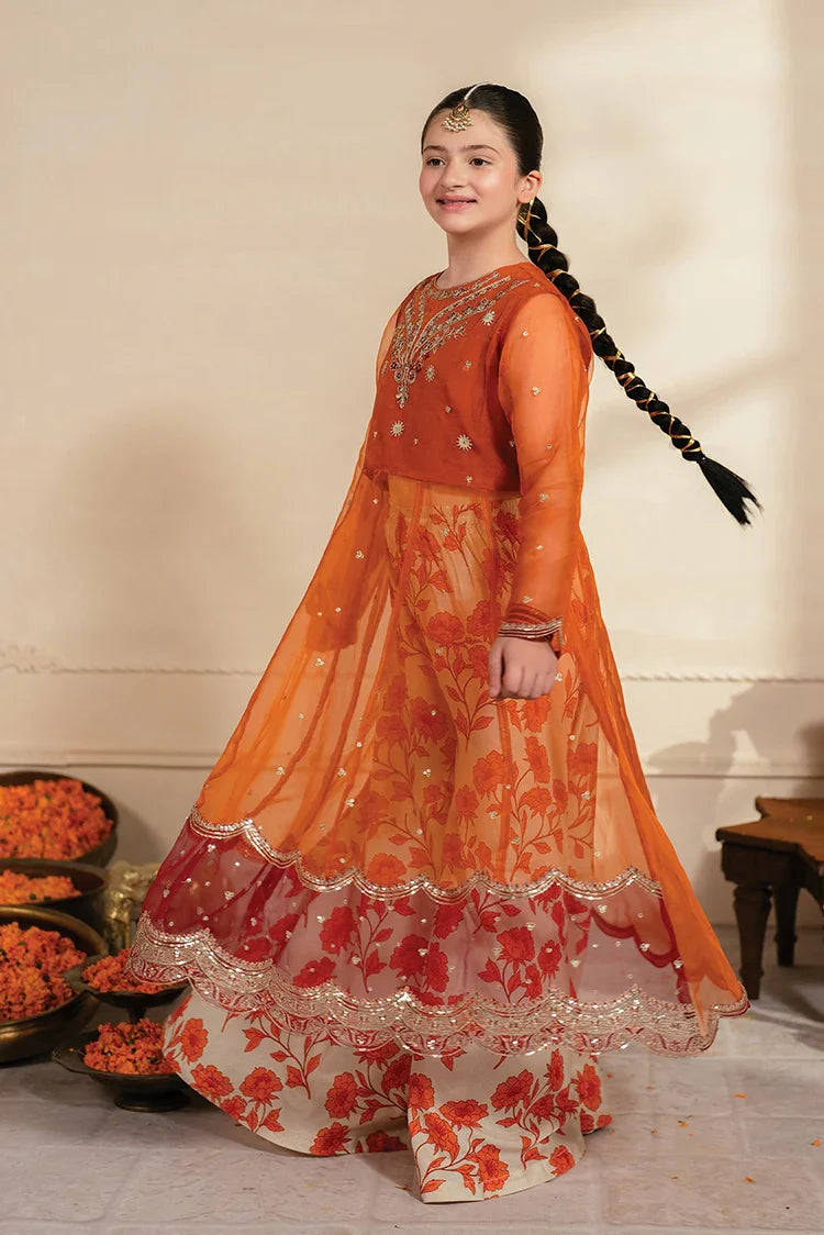 Picture of Garnet - The Little Boutique - 3 PC Stitched - Haseen - Available at Raja Sahib