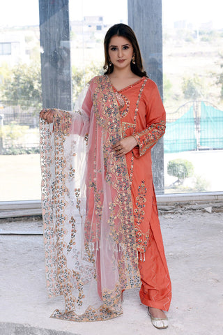 Haseen RTW Collection - Narangi