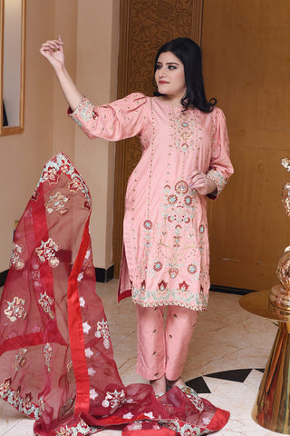 Haseen RTW Collection - Sidra