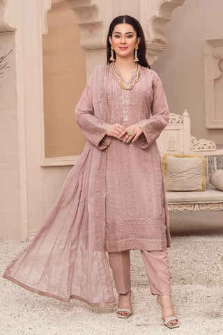 Picture of Abaan Zohan - Rang e Haseen Collection - Aashna Teapink - Available at Raja Sahib