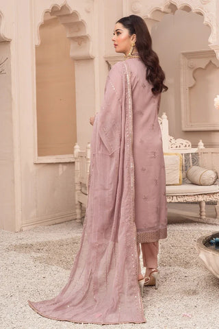 Picture of Abaan Zohan - Rang e Haseen Collection - Aashna Teapink - Available at Raja Sahib