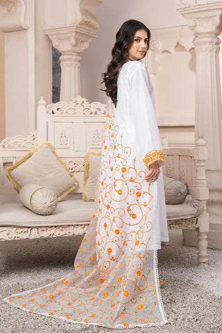 Picture of Abaan Zohan - Rang e Haseen Collection - Abr White - Available at Raja Sahib