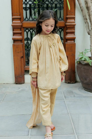 Picture of KBD-02622 | Fawn & Gold  | Casual Plus 3 Piece Suit | Cotton Dobby Jacquard - by Raja Sahib Kids