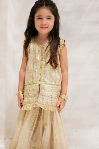 Picture of KDD-02091 | Fawn & Golden | Formal 3 Piece Suit | Banarsi Organza tissue - by Raja Sahib Kids