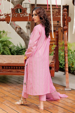 Picture of Senorita - LBD-02561 | Pink & Black | Casual plus 3 Piece Suit  | Cotton Yarn dyed Jacquard - Available at Raja Sahib