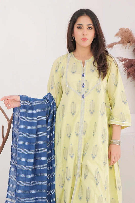 Picture of <!--awn-->LBD-02905 | Perrot Green & Multicolor | Casual Plus 3 Piece Suit | Cotton Jacquard - Available at Raja Sahib