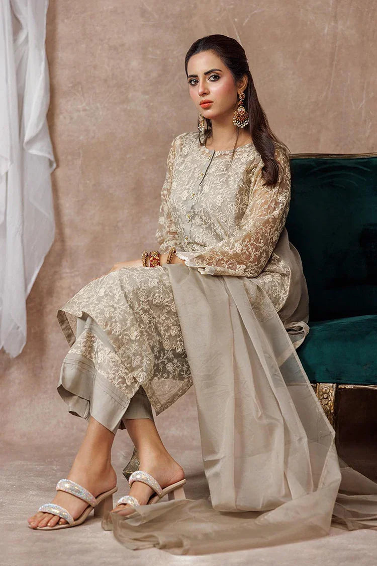 Women formal clothes | Beige & Fawn | Formal 3 Piece Suit | Banarsi Organza Plain Nylon | LDD-03094