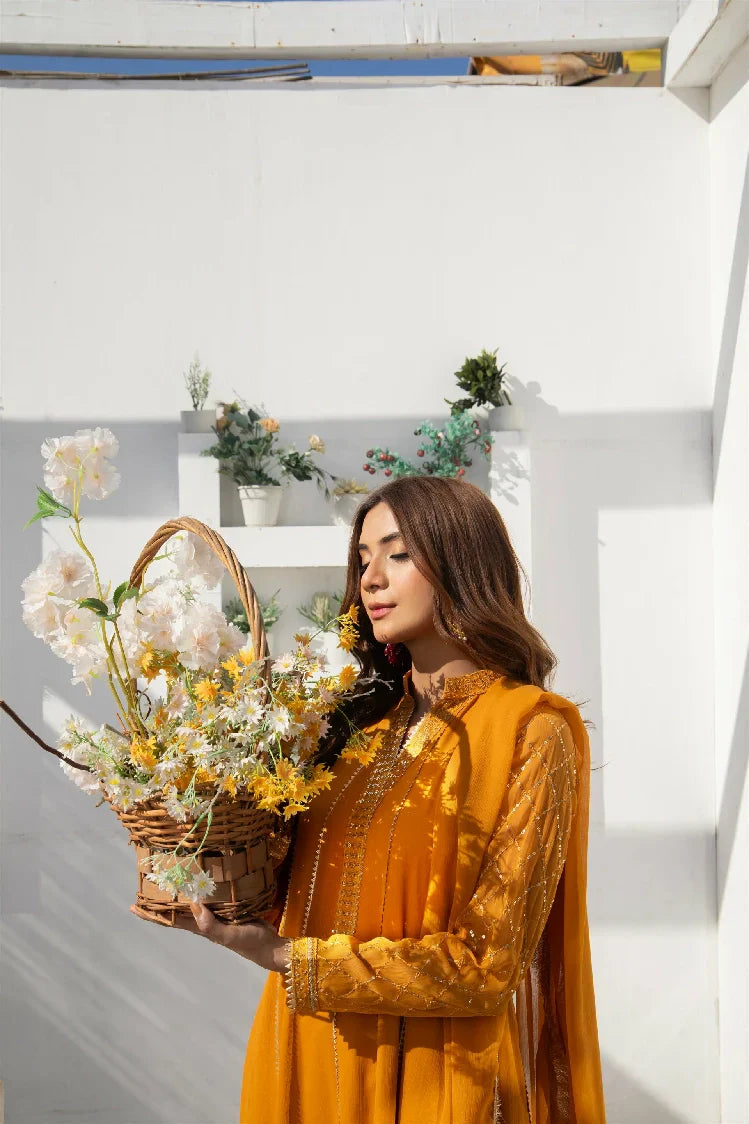 Picture of <!--ast-->Manahils - Kurti 106 - Available at Raja Sahib