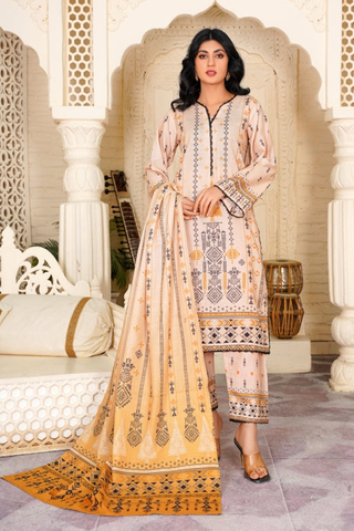 Damask - Embroidered Winter Collecion - 3 PC - Minal